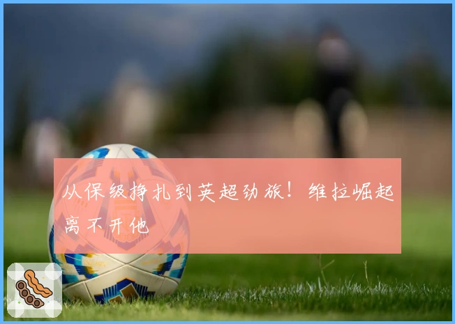 从保级挣扎到英超劲旅！维拉崛起离不开他