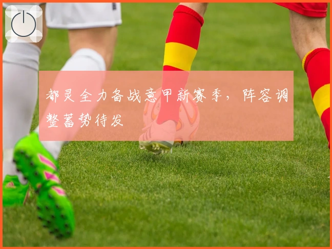 都灵全力备战意甲新赛季，阵容调整蓄势待发