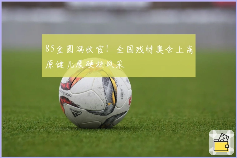 85金圆满收官！全国残特奥会上高原健儿展硬核风采